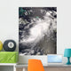 Hurricane Gustav over Hispaniola Wall Decal