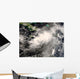 Tropical Storm Gustav Caribbean Wall Decal