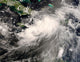 Tropical Storm Gustav Caribbean Wall Decal