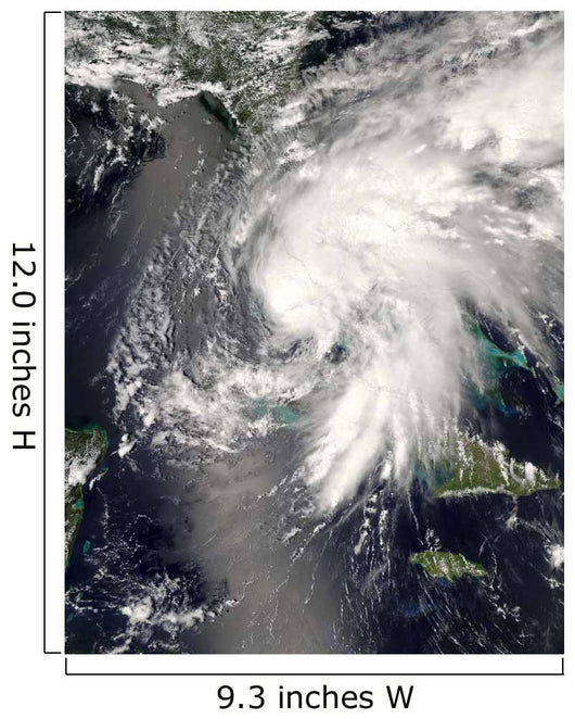 Tropical Storm Fay Wall Decal Design 1