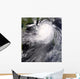 Typhoon Nuri Approaching China Wall Decal