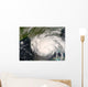 Hurricane Gustav Wall Decal