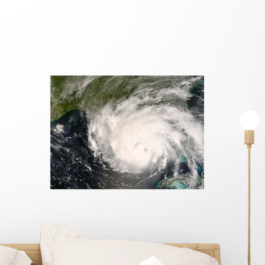 Hurricane Gustav Wall Decal