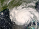 Hurricane Gustav Wall Decal
