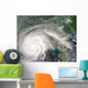 Hurricane Gustav over Louisiana Wall Decal