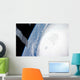 Hurricane Ike Wall Decal Design 11