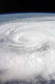 Hurricane Ike Wall Decal Design 8