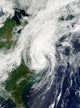 Tropical Storm Hanna over Wall Decal Design 2