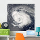 Hurricane Ike Wall Decal Design 4