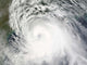 Hurricane Ike Wall Decal Design 2