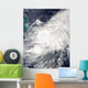 Tropical Storm Hanna over Wall Decal Design 1