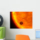 Jupiter-sized Planet Passing Front Wall Decal