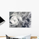 Tropical Storm Josephine Wall Decal