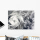 Tropical Storm Josephine Wall Decal