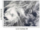 Tropical Storm Josephine Wall Decal