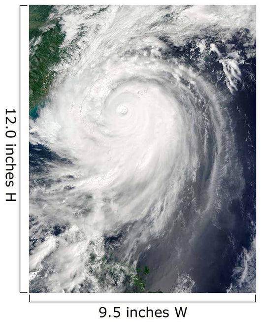 Typhoon Jangmi Wall Decal