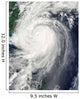 Typhoon Jangmi Wall Decal