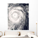 Typhoon Jangmi off Taiwan Wall Decal