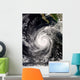 Hurricane Norbert off Mexico Wall Decal Design 2