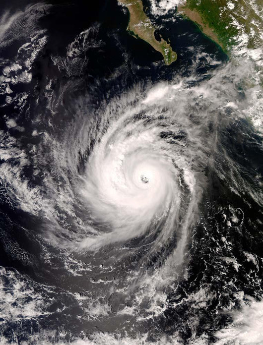 Hurricane Norbert off Mexico Wall Decal Design 2
