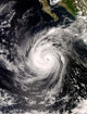 Hurricane Norbert off Mexico Wall Decal Design 2