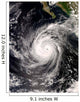 Hurricane Norbert off Mexico Wall Decal Design 2