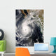 Hurricane Norbert off Mexico Wall Decal Design 1