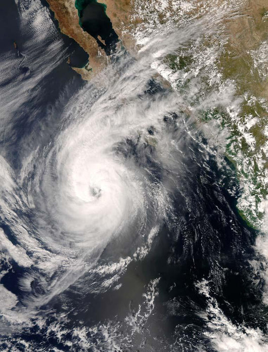 Hurricane Norbert off Mexico Wall Decal Design 1