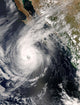 Hurricane Norbert off Mexico Wall Decal Design 1