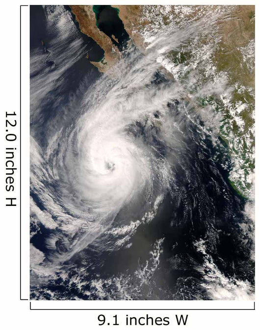 Hurricane Norbert off Mexico Wall Decal Design 1