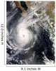 Hurricane Norbert off Mexico Wall Decal Design 1