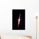 Soyuz Tma-13 Spacecraft Flight Wall Decal