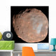 Mars Moon Phobos Wall Decal Design 1