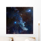 Witch Head Nebula Wall Decal