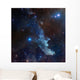 Witch Head Nebula Wall Decal