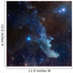 Witch Head Nebula Wall Decal