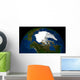 Arctic Sea Ice 2005 Wall Decal