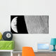 Moon and Earth Taken Wall Decal