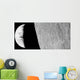 Moon and Earth Taken Wall Decal