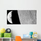 Moon and Earth Taken Wall Decal