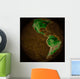 Topographic Map Earth Wall Decal