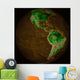 Topographic Map Earth Wall Decal