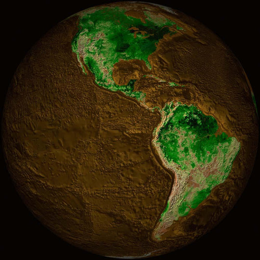 Topographic Map Earth Wall Decal