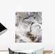Cloud Streets over Lake Wall Decal