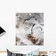 Cloud Streets over Lake Wall Decal