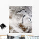 Cloud Streets over Lake Wall Decal
