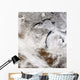 Cloud Streets over Lake Wall Decal