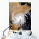 Tropical Storm Three Northern Wall Decal