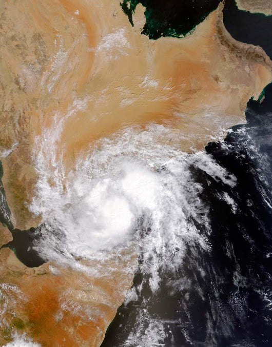 Tropical Storm Three Northern Wall Decal