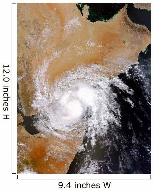 Tropical Storm Three Northern Wall Decal